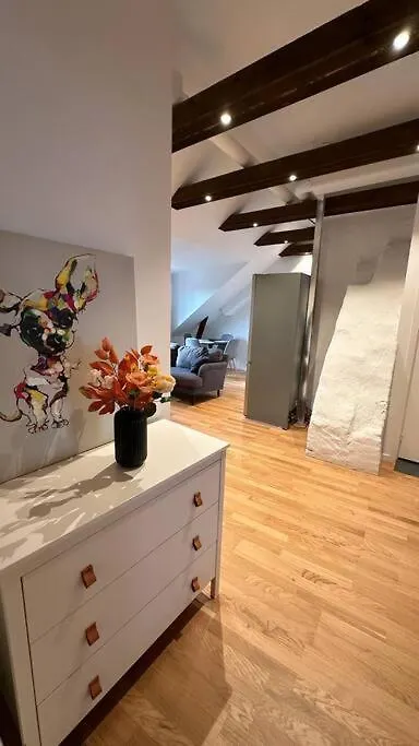 Top Floor Apartment Gothenburg Sweden